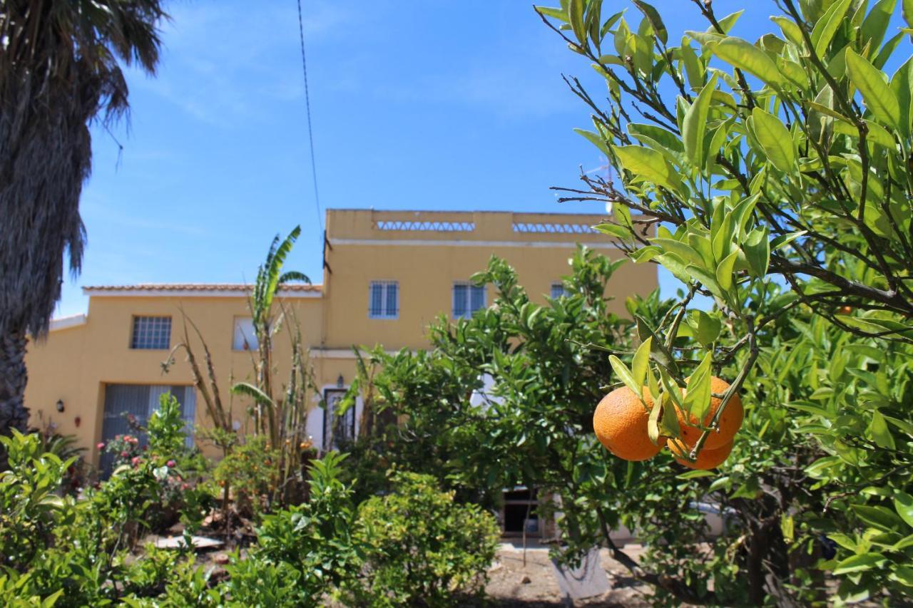 Alojamiento rural Masía Valldepérez L'Ampolla Exterior foto