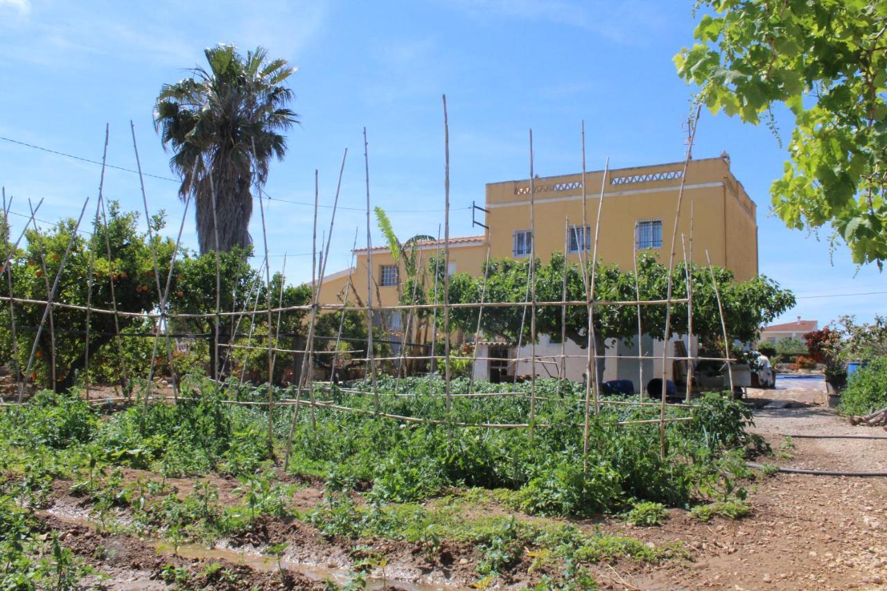 Alojamiento rural Masía Valldepérez L'Ampolla Exterior foto
