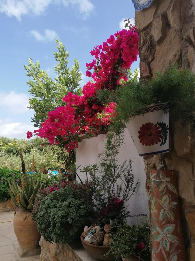 Alojamiento rural Masía Valldepérez L'Ampolla Exterior foto
