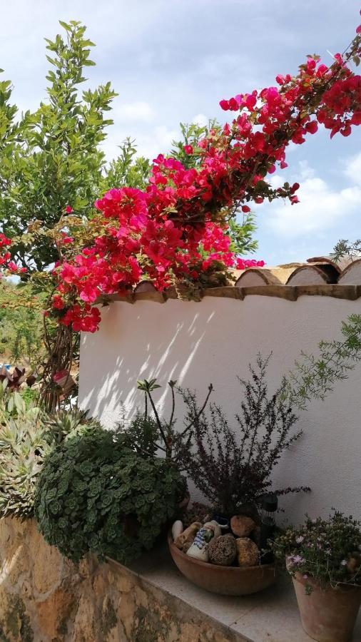 Alojamiento rural Masía Valldepérez L'Ampolla Exterior foto